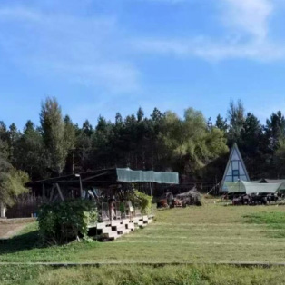墟落经济 - PG国际集团