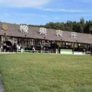 墟落经济 - PG国际集团