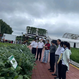 设施农业 - PG国际集团