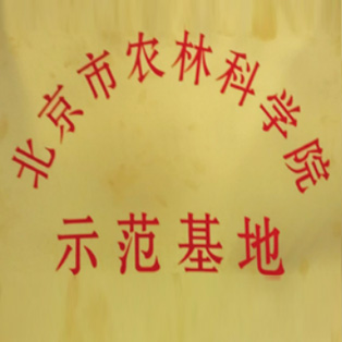 莳植农业 - PG国际集团