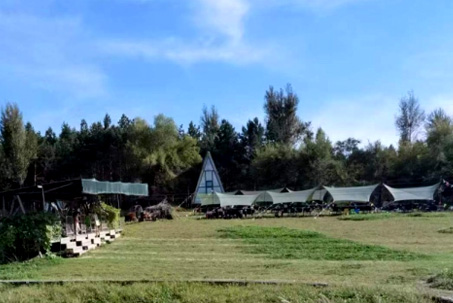墟落经济 - PG国际集团