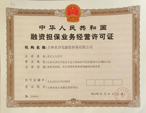 担保公司 - PG国际集团