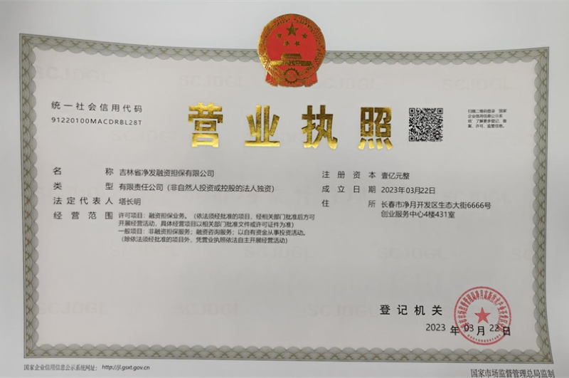吉林省PG国际融资担保有限公司 - PG国际集团